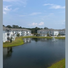 a pond with trees and a building